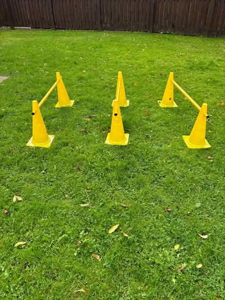 Photo of free Dog Agility jump/hurdle (Glasgow Parkhead G31) #3