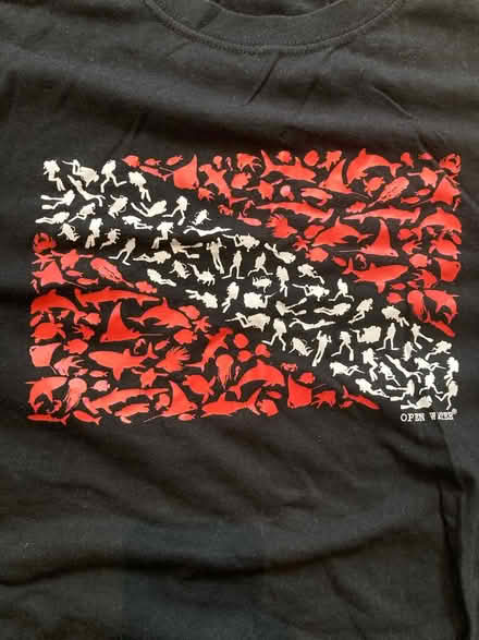 Photo of free Mens black t-shirts XL size (Feltham TW13) #3
