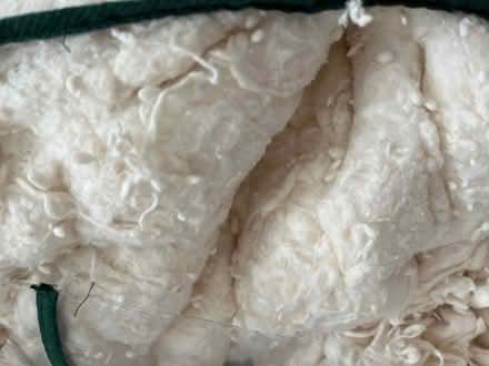 Photo of free Silk wadding from a silk duvet (Lewes Nevill area) #1