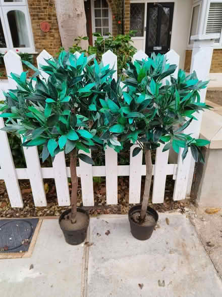 Photo of free Artificial Bay tree's (Widmore BR1) #2
