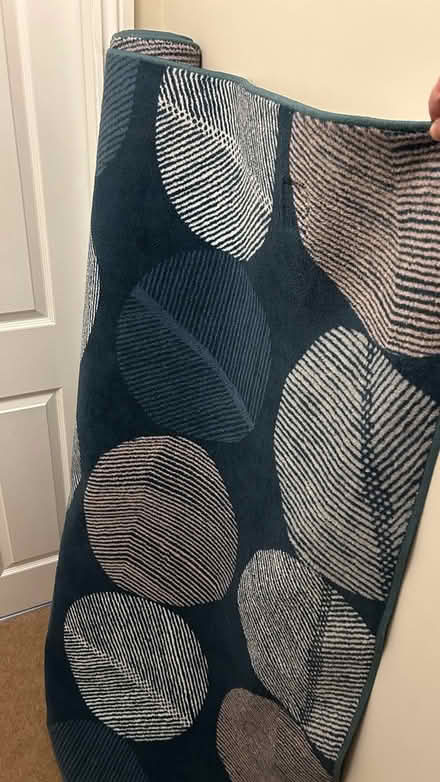 Photo of free Habitat rug 160x230cm (Marsh, HD1) #1