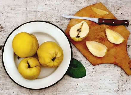 Photo of free Quince fruit for jam/jelly making (NR14) #1