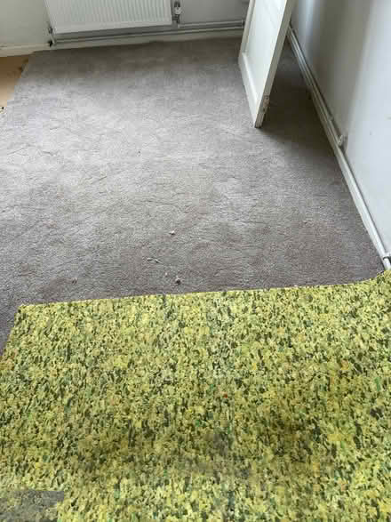 Photo of free Nice clean piece of carpet (Stoke By Clare) #1