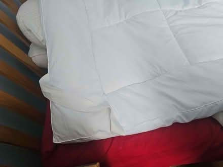 Photo of free Matress topper double almost new (Bohemia TN37) #3