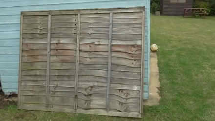 Photo of free Fence panel (St Albans AL4) #1