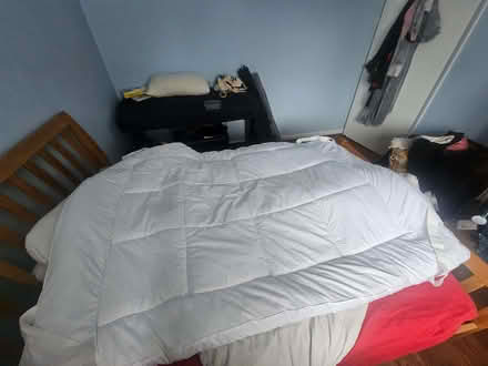 Photo of free Matress topper double almost new (Bohemia TN37) #2