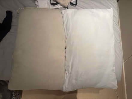 Photo of free 2x bed pillows (N7 - Barnsbury) #1