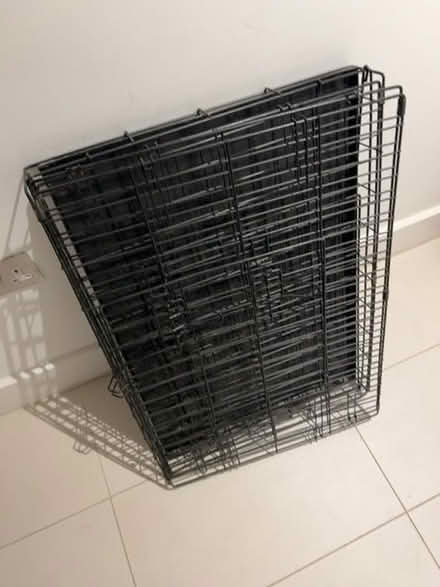 Photo of free Dog/animal transport cage (Ravenscourt Park W6) #1