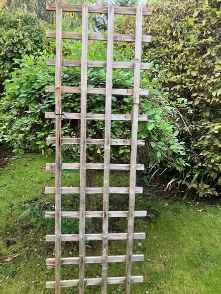 Photo of free Garden trellis (Seaside BN22) #1