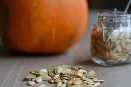 Photo of Pumpkin seeds (Osney OX2) #1
