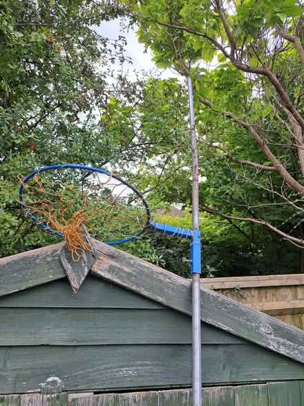 Photo of free Netball Basketball hoop (Botley OX2) #1