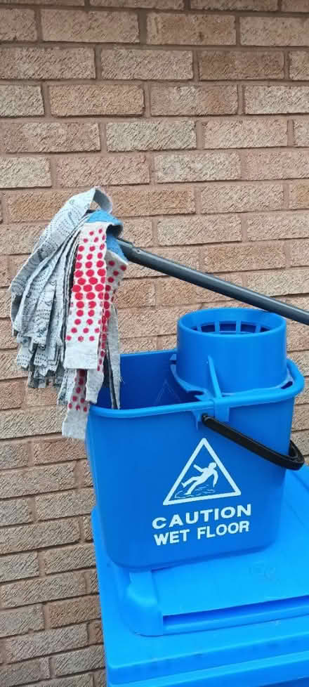 Photo of free Mop bucket and mop (S20 Waterthorpe) #2