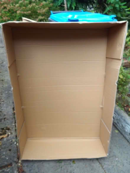 Photo of free Cardboard boxes (Flamstead AL3) #2