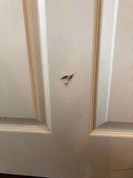 Photo of free Hollow style door. Very new, small damage. (Lostwithiel PL22) #2