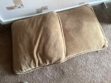 Photo of free 2 mustard coloured cushions (RH10 Pound Hill) #1