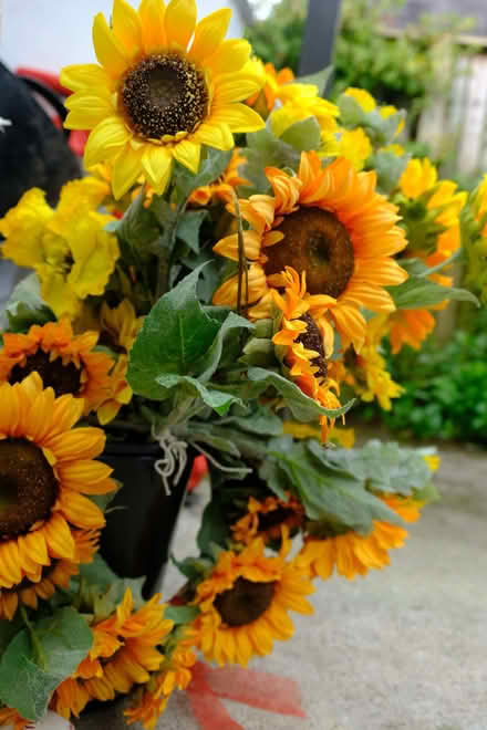 Photo of free Artificial Flowers (Witherslack LA11) #2