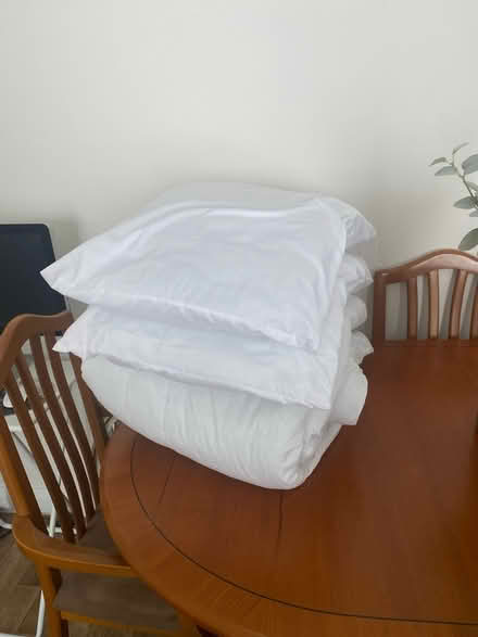 Photo of free Pillows and Duvet (Islington Green (Islington Green (N1)) #1