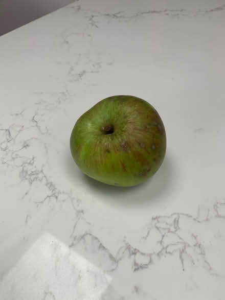 Photo of free Cooking apples (Hoddesdon, EN11) #1