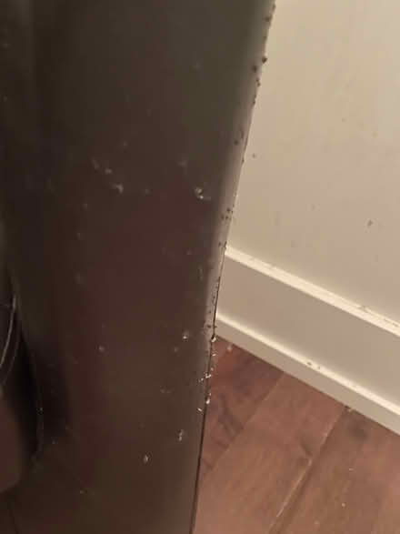 Photo of free Two Faux Leather Brown Tub Chairs (Westboro) #3
