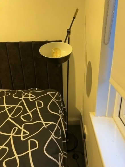 Photo of free lamp with bulb (Plaistow E13) #1