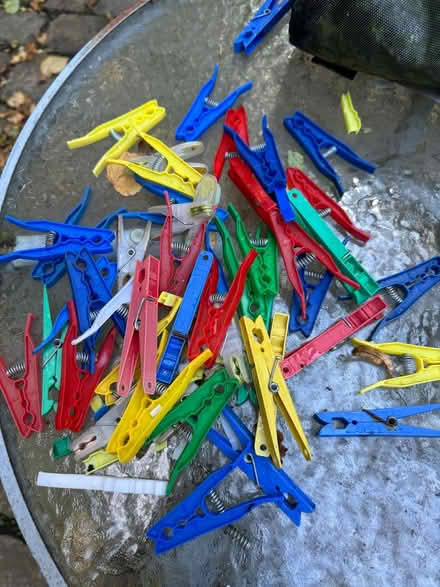 Photo of free Clothes pegs (Sheffield) #1