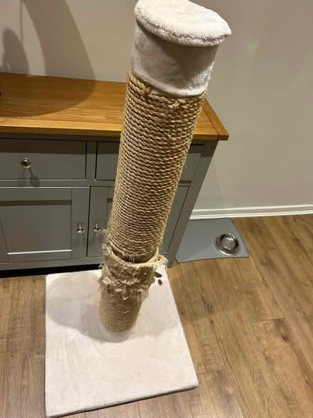 Photo of free Premium XXL scratching post (Tunbridge Wells N. TN1) #1