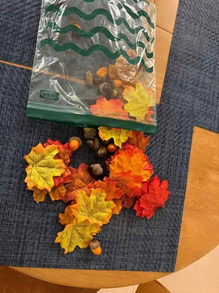 Photo of free Autumn decorations (RM14) #1