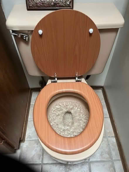 Photo of free Wood toilet seat (Shoreline) #1