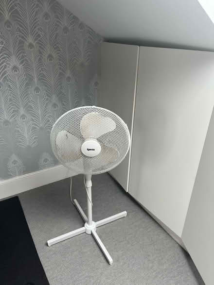 Photo of free Electric standing fan (TW9) #1