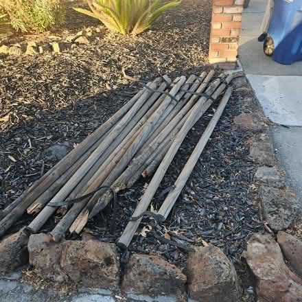 Photo of free Tree stakes (San Ramon) #1