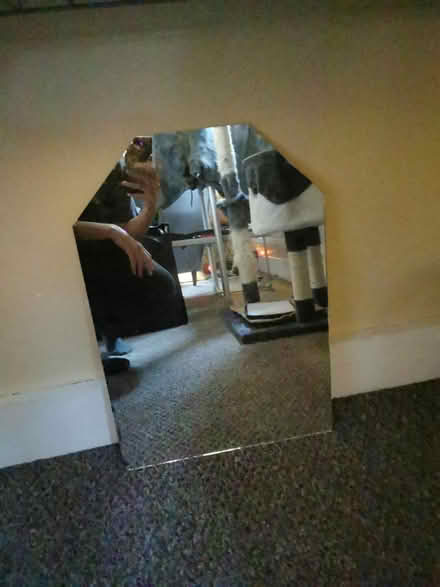 Photo of free Mirror (South Bermondsey SE15) #1