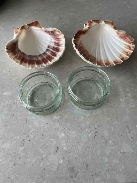 Photo of free 8 Shells and 2 small glass pots (Windsor SL4) #1