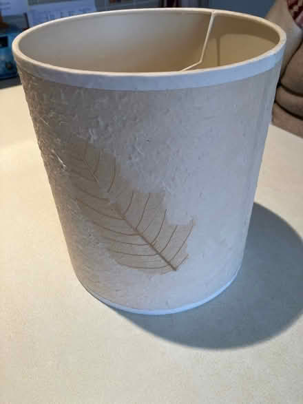 Photo of free Pretty leaf lampshade - cream (Thurton NR14) #2
