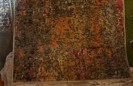 Photo of free Rugs (Finsbury Park N4) #1