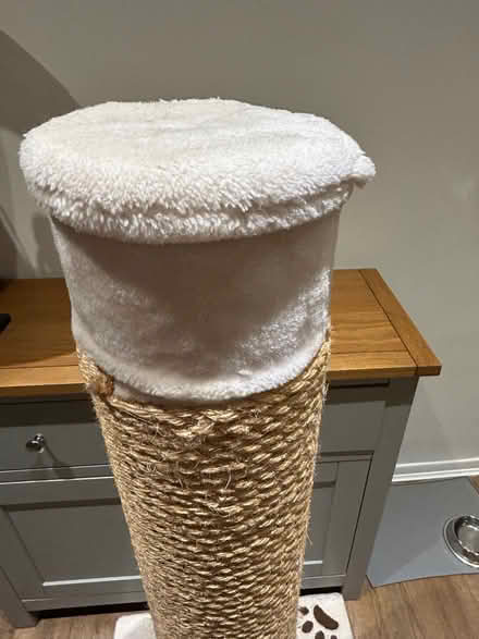Photo of free Premium XXL scratching post (Tunbridge Wells N. TN1) #3