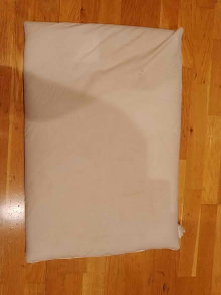 Photo of free Organic maize pillow (Eltham SE9) #2