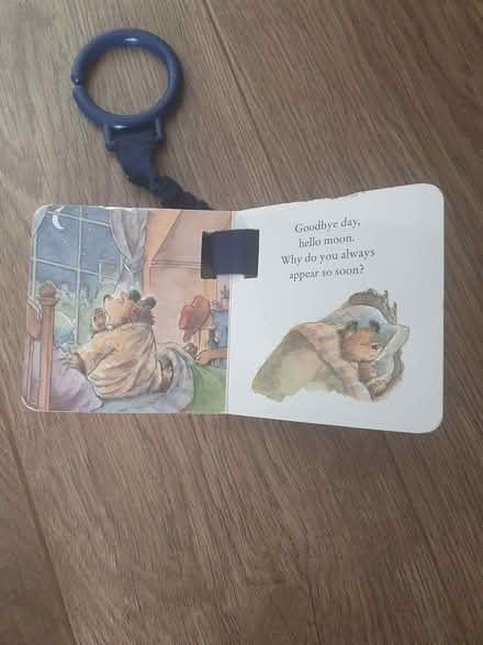 Photo of free Paddington buggy book (Burgess Park SE5) #3