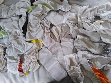 Photo of free Bundle reusable nappies (billericay CM12) #3