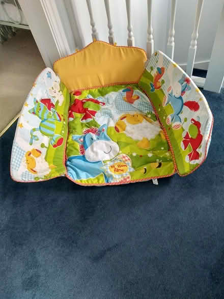 Photo of free Baby Play Mat (Wonersh GU5) #1