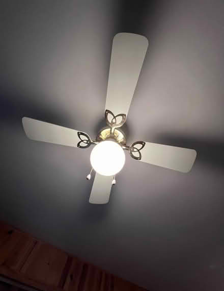 Photo of free Ceiling fans with lights (Roncesvalles) #2