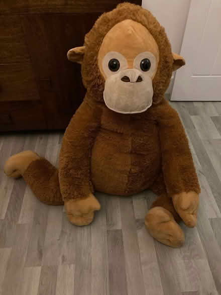 Photo of free Cuddly toy (Oxford) #1