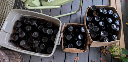 Photo of free 12 oz. brown glass bottles (KeyportNJ) #1
