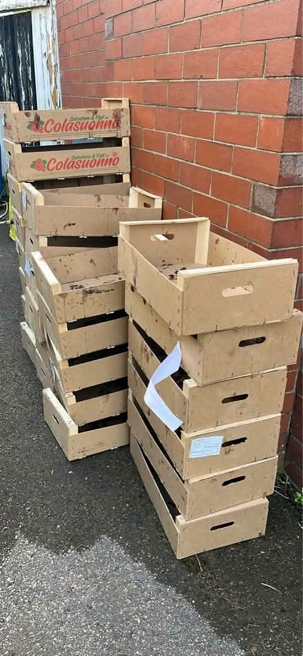 Photo of free 25 empty grape crates (Pen-y-Lan CF23) #3