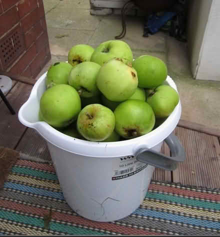 Photo of free Bramley Cooking Apples (St Anne's on the Sea FY8) #1