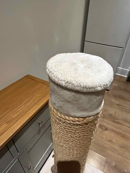 Photo of free Premium XXL scratching post (Tunbridge Wells N. TN1) #4