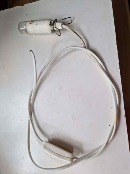 Photo of free Lamp Insert (CT2) #1