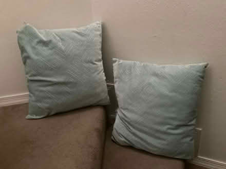 Photo of free 2 throw pillows (Near Pacheco po) #1