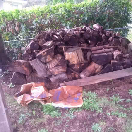 Photo of free Firewood (Maillardville) #1