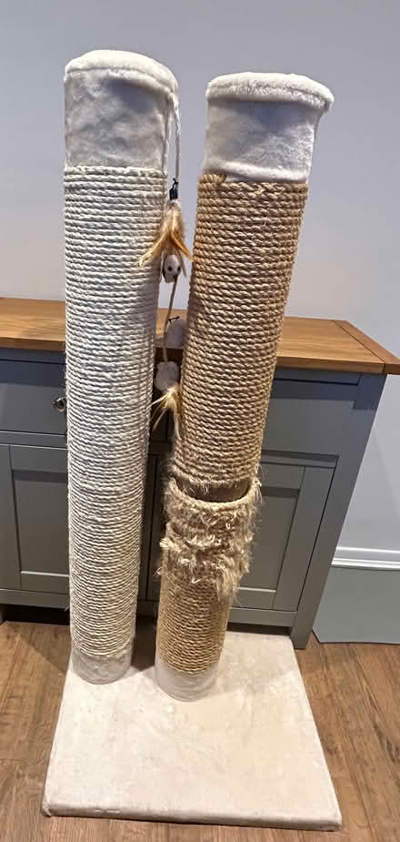 Photo of free Premium XXL scratching post (Tunbridge Wells N. TN1) #2