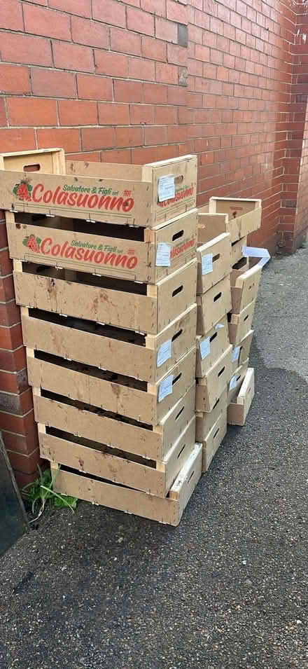 Photo of free 25 empty grape crates (Pen-y-Lan CF23) #1